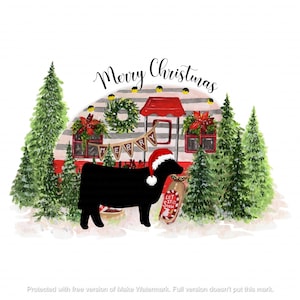 Show Heifer Digital Design** Show Steer Png, Show Cattle Png, Stock show design, Show Steer Sublimation, Christmas Show Cattle Png