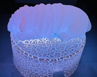 English Bulldog color changing night light.