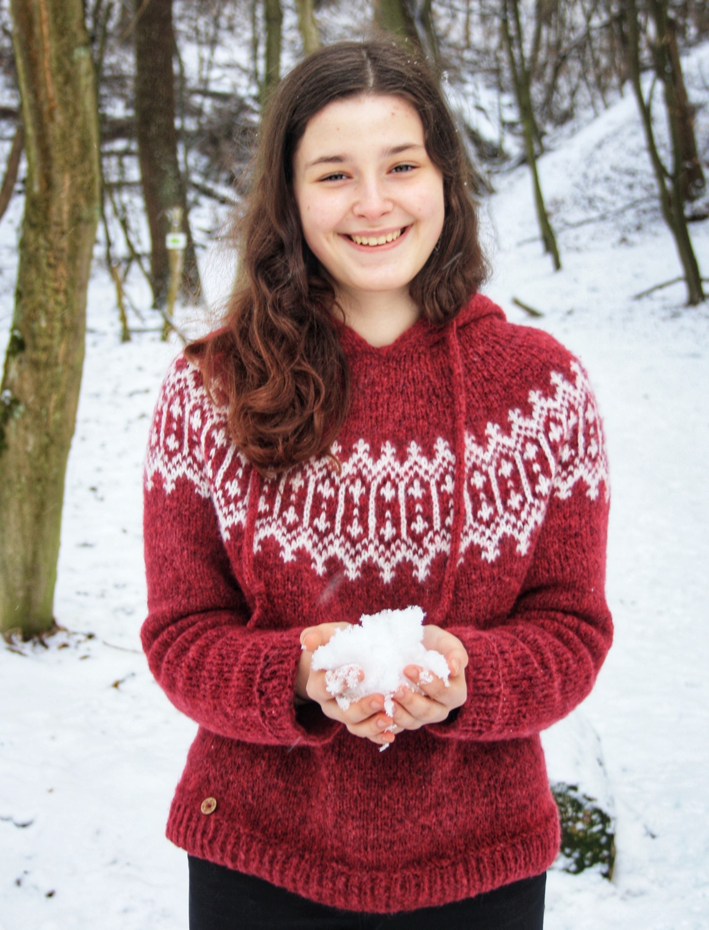 Hoodie KNITTING PATTERN - Colorwork Yoke Sweater, Pullover