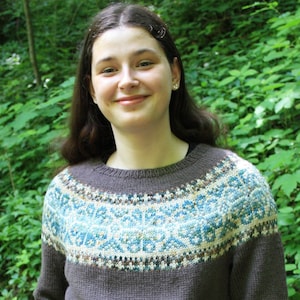 Maglione MODELLO LAVORO A MAGLIA, Maglione Colorwork Yoke, Modello Fair Isle, Maglia senza cuciture Top Down, Maglia facile, Download istantaneo PDF