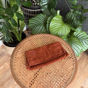 Vintage Burnt Orange Suede Clutch