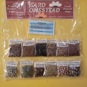 12er Pack Sprossen und Microgreens. Sprout Deckel enthalten.