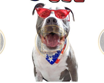 4th of july png, patriotic dog png, usa png, dog mom 4th of july