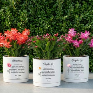 May include: Three white ceramic planters, each containing a blooming Christmas cactus. The pots feature black text reading Chapter 60, 70, and 50, with personalized names, birth years, and floral illustrations. The plants have red and pink flowers.