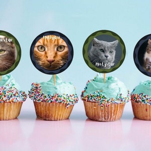 Könnte beinhalten: Vier Cupcakes mit grünen, blauen und schwarzen runden Toppern mit Katzenfotos und Namen: Brambleclaw, Hollyleaf, Mistystar und Darktail.