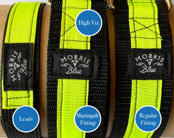 High visibility Dog Collar. Polypropylene webbing in Martingale or Regular fitting Dog Collar | Dog Lead