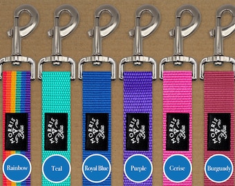 Dog lead. Polypropylene webbing with metal fitting, Dog Collar | Dog Collar | Coloured Dog Collar |
