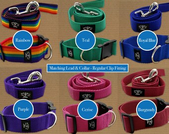 Lead and Collar set. *Regular Clip Fitting* Polypropylene webbing with heavy duty plastic clip & metal D ring, Dog Collar | Dog Collar Lead