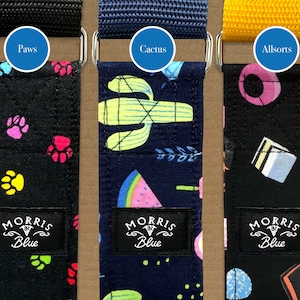 Martingale House Collar. 38 mm Patterned cotton with polypropylene webbing and metal D ring, Dog Collars