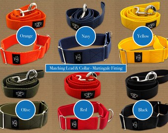 Lead and Collar set. *Martingale Fitting* Polypropylene webbing with heavy duty plastic clip & metal D ring, Dog Collar | Dog Collar Lead