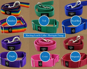 Lead and Collar set. *Martingale Fitting* Polypropylene webbing with metal fixings & metal D ring, Dog Collar | Dog Collar Lead