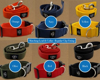 Lead and Collar set. *Regular Clip Fitting* Polypropylene webbing with heavy duty plastic clip & metal D ring, Dog Collar | Dog Collar Lead