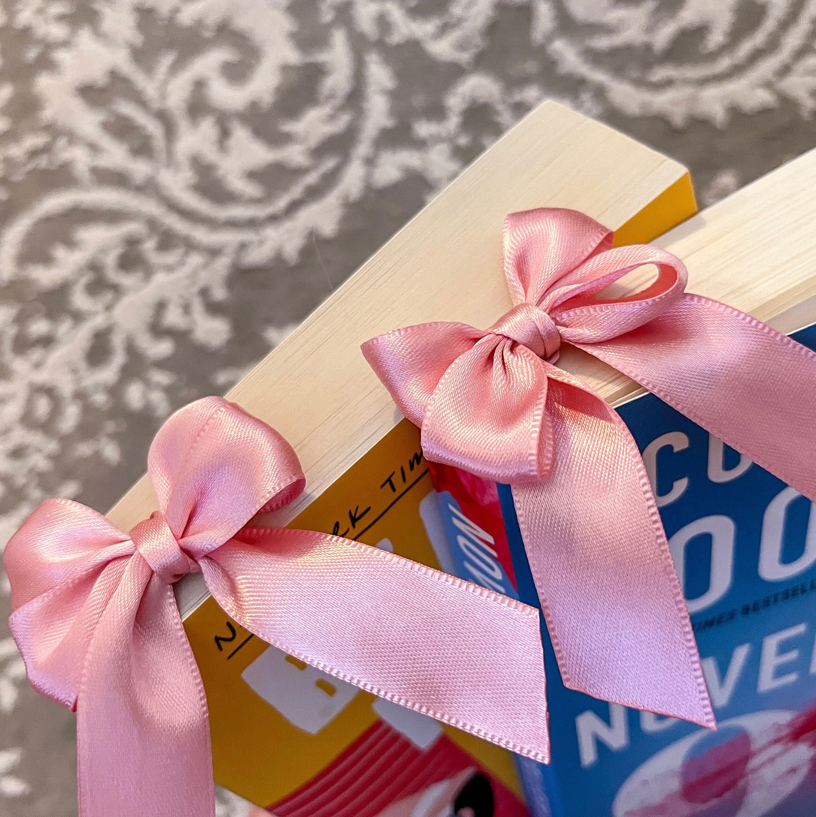 Two books standing up with pink bows on top.