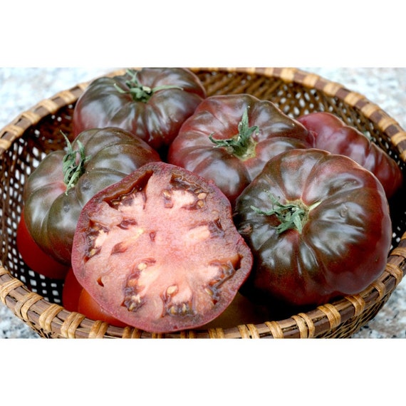 ノワール・デ・クリミートマトの種(固定種・Noire de crimee) トマト ノワール ド クリメ、高地トマト種子、ブラック クリム