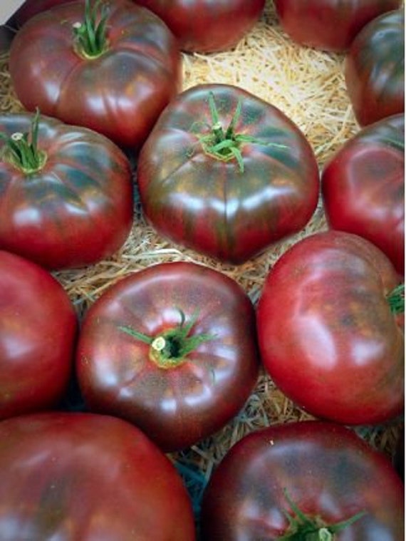 ノワール・デ・クリミートマトの種(固定種・Noire de crimee) Heirloom Tomato® Noire De Crimee エアルーム・トマト