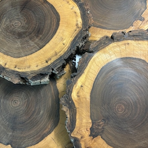 Op de afbeelding: Vier houten schijven met natuurlijke schorsranden, die de ingewikkelde nerfpatronen van het hout laten zien. De schijven zijn op elkaar gestapeld, waardoor de donkerbruine en lichtbruine tinten van het hout zichtbaar worden.