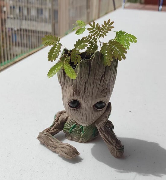 置物 mimosa il_fullxfull.4327424899_bxom.jpg