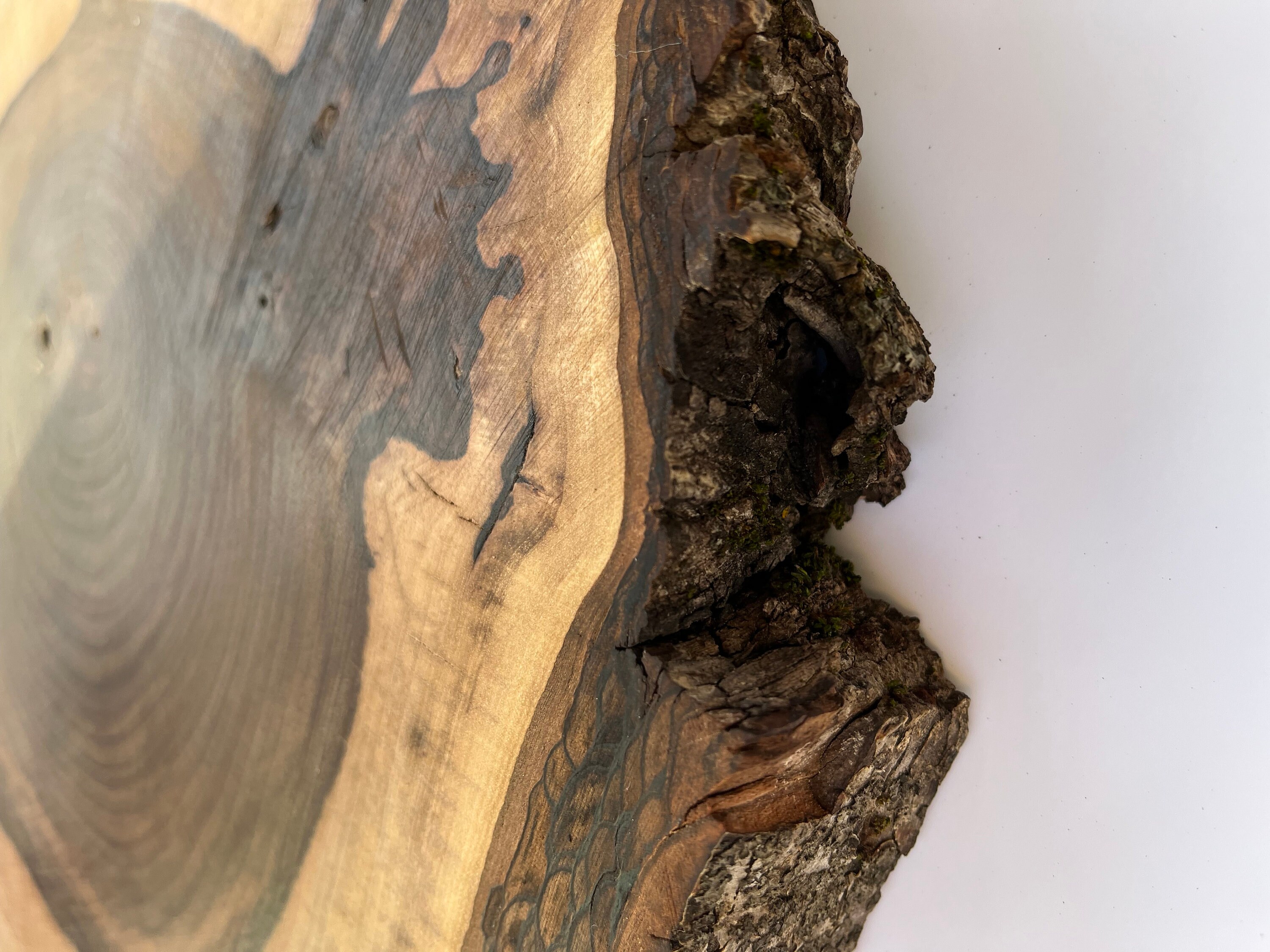 Walnut Wood Slice With Bark, Live Edge Rounds, Live Edge, Walnut Slab
