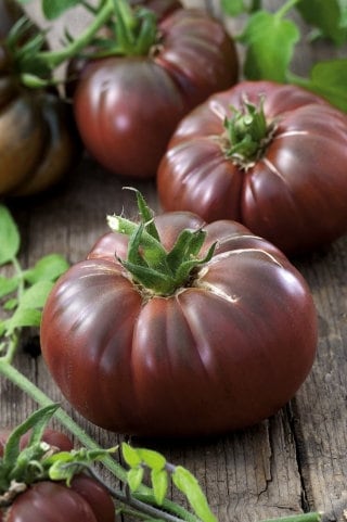 ノワール・デ・クリミートマトの種(固定種・Noire de crimee) ノワール・デ・クリミートマトの種(固定種・Noire de crimee