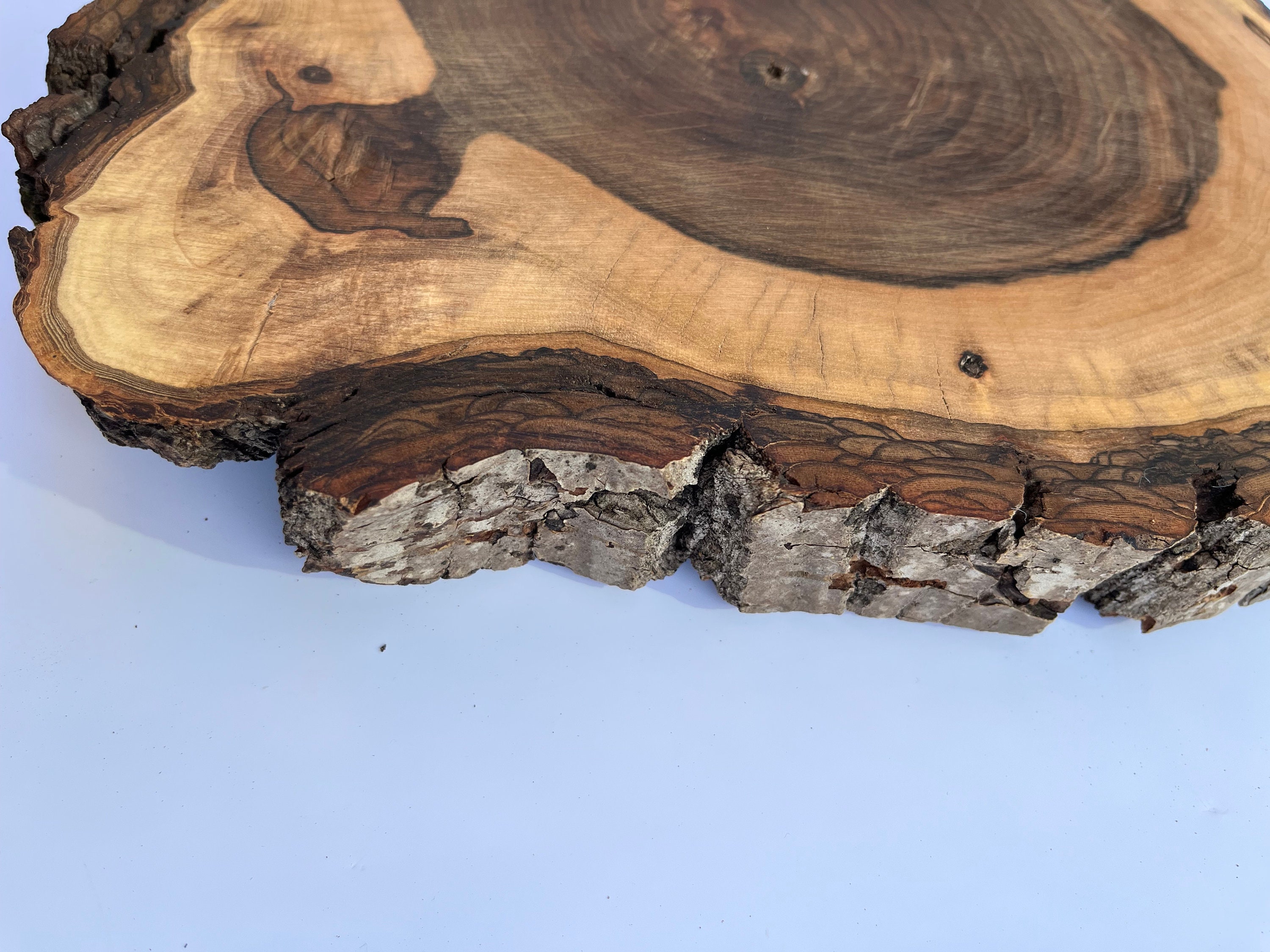 Walnut Wood Slice With Bark, Live Edge Rounds, Live Edge, Walnut Slab