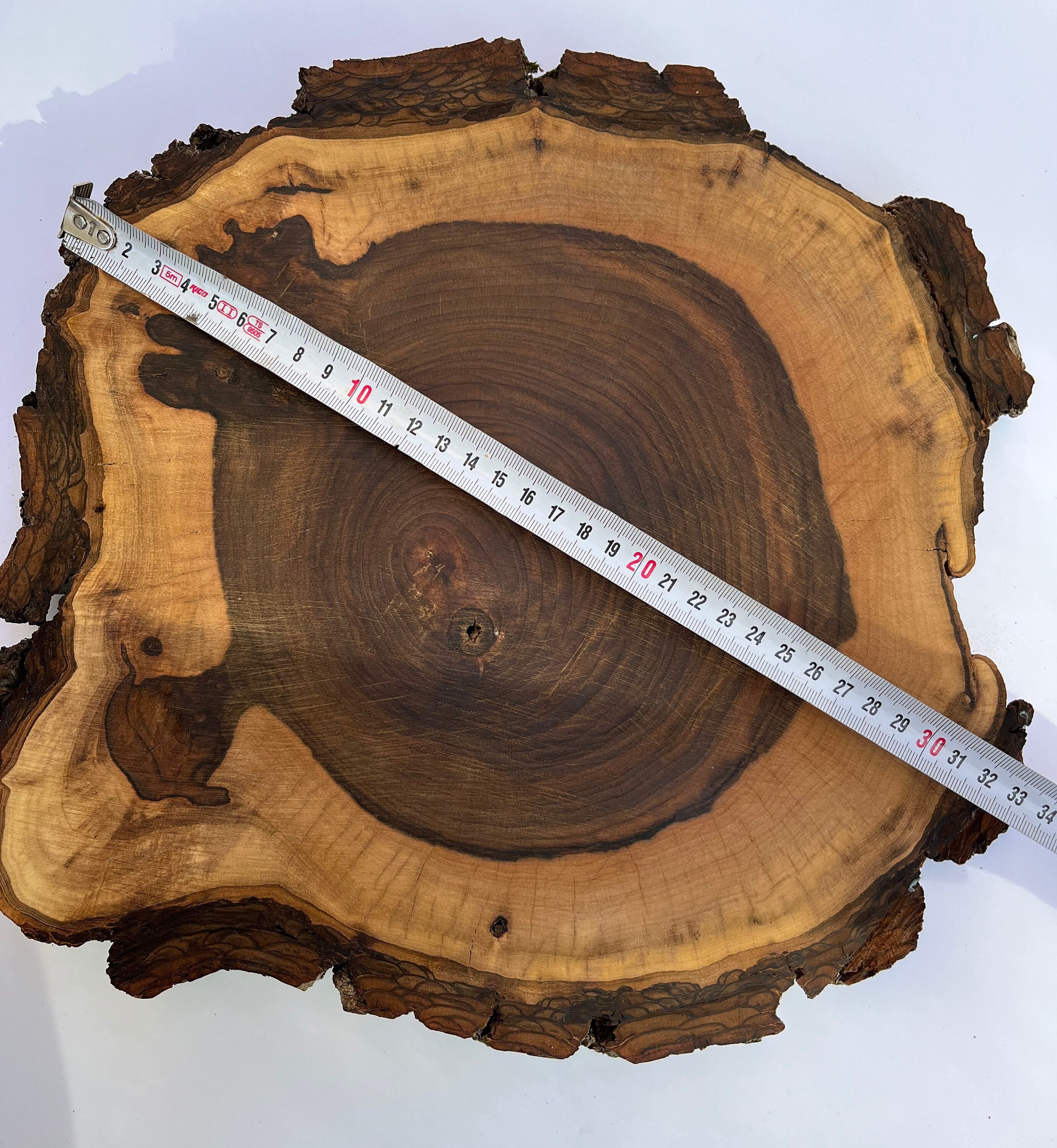 Walnut Wood Slice With Bark, Live Edge Rounds, Live Edge, Walnut Slab