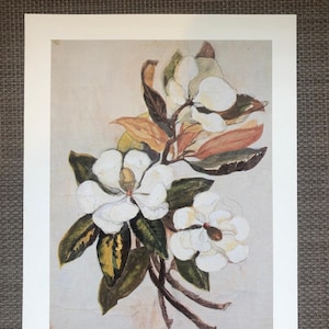 Three Magnolias Print by Ravenel Gaillard