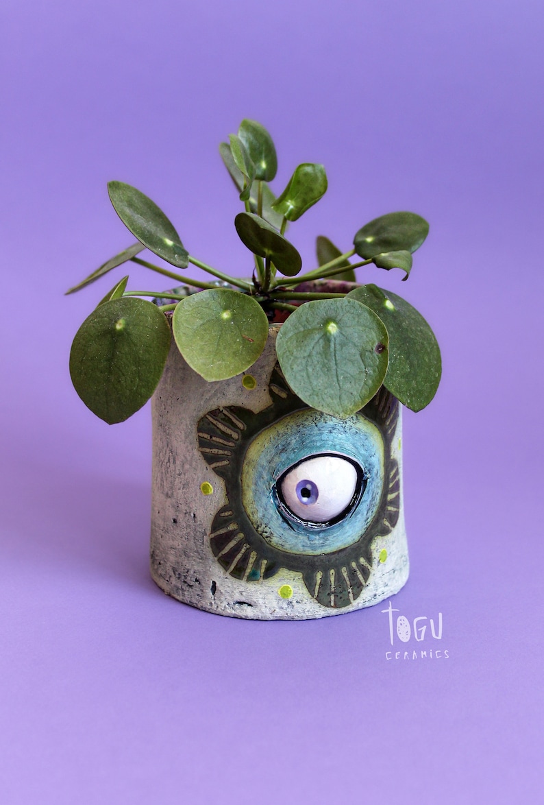 POT POP TOP Planter Pot Dark Blue Eyes