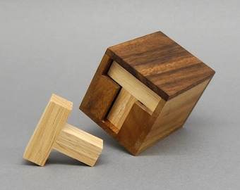 SIX T PUZZLE Great Packing Puzzle
