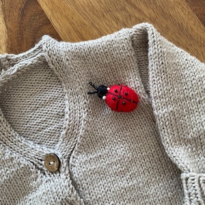 Felt Pin Brooch Ladybug Ladybug Beetle Pin Insect