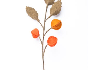 Physalis I Berry branch orange I Hand-felted branch I Decoration I Bouquet I