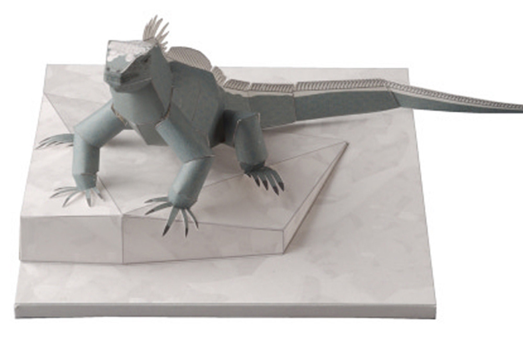 Marine Iguana, Papercraft, 3D Paper Model, Animal, Zoo, Paper Craft ...