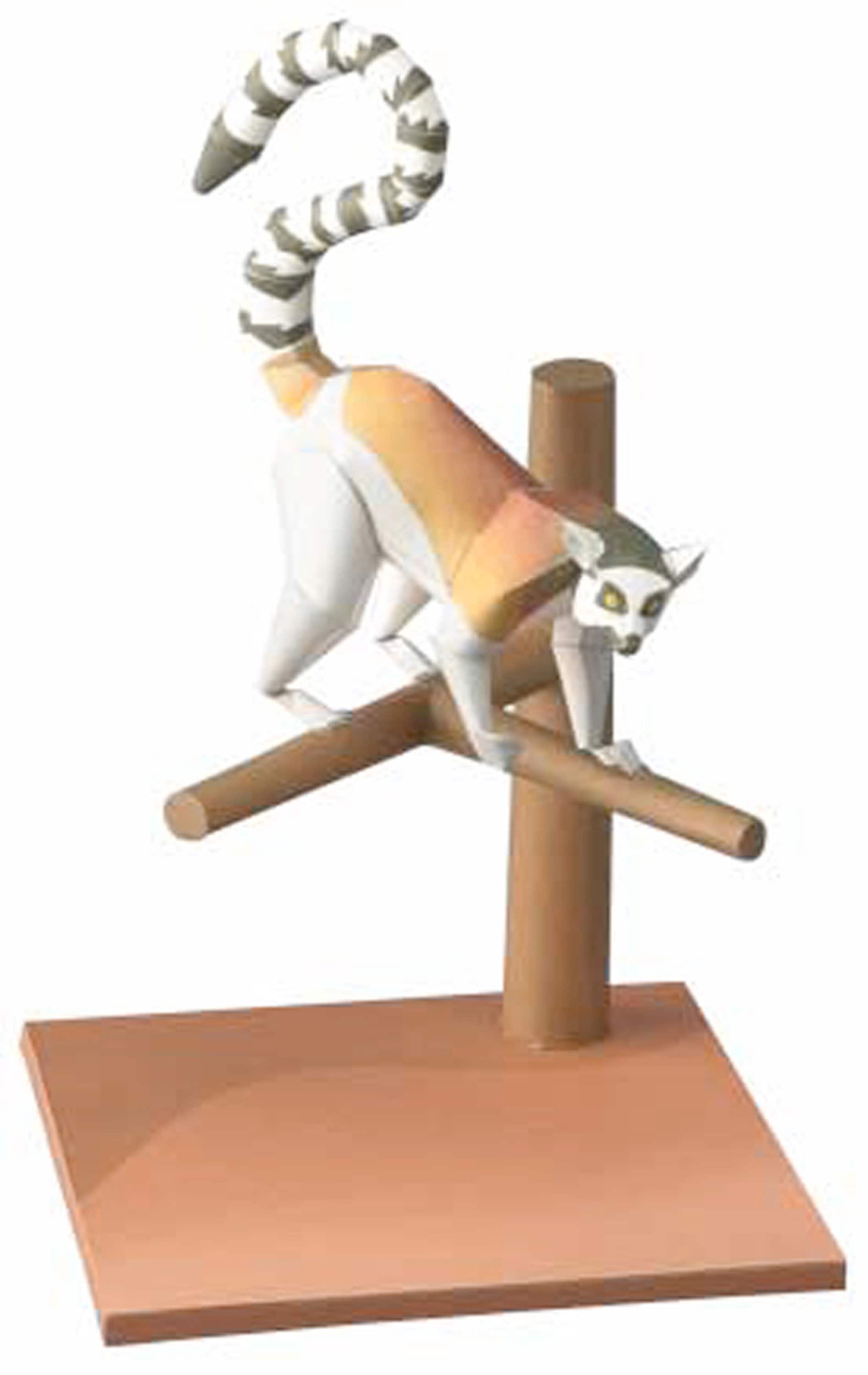 Ringtailed Lemur, Papercraft, 3D Paper Model, Animal, Zoo, Paper Craft