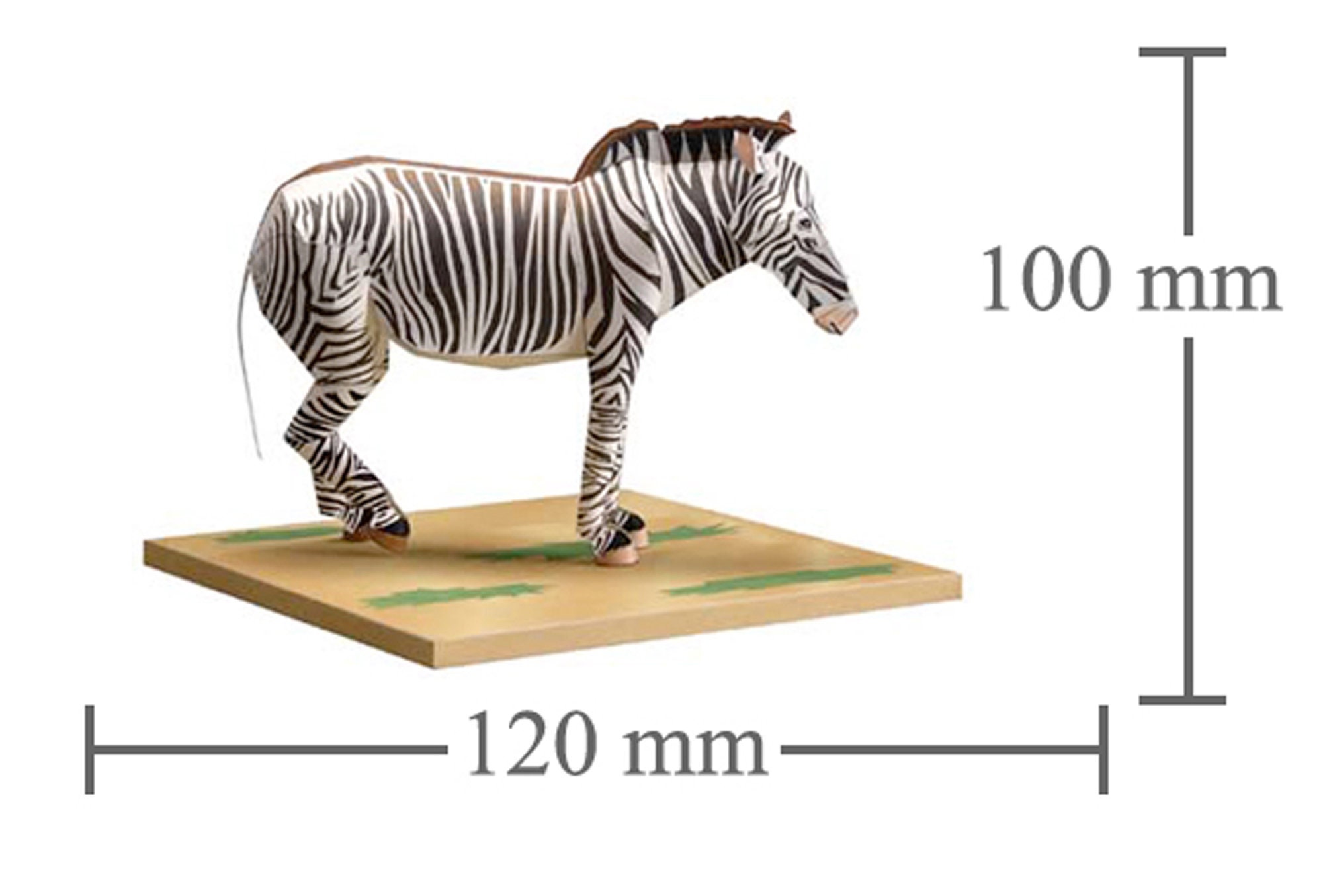 Grevy's Zebra, Papercraft, 3D Paper Model, Animal, Zoo, Paper Craft
