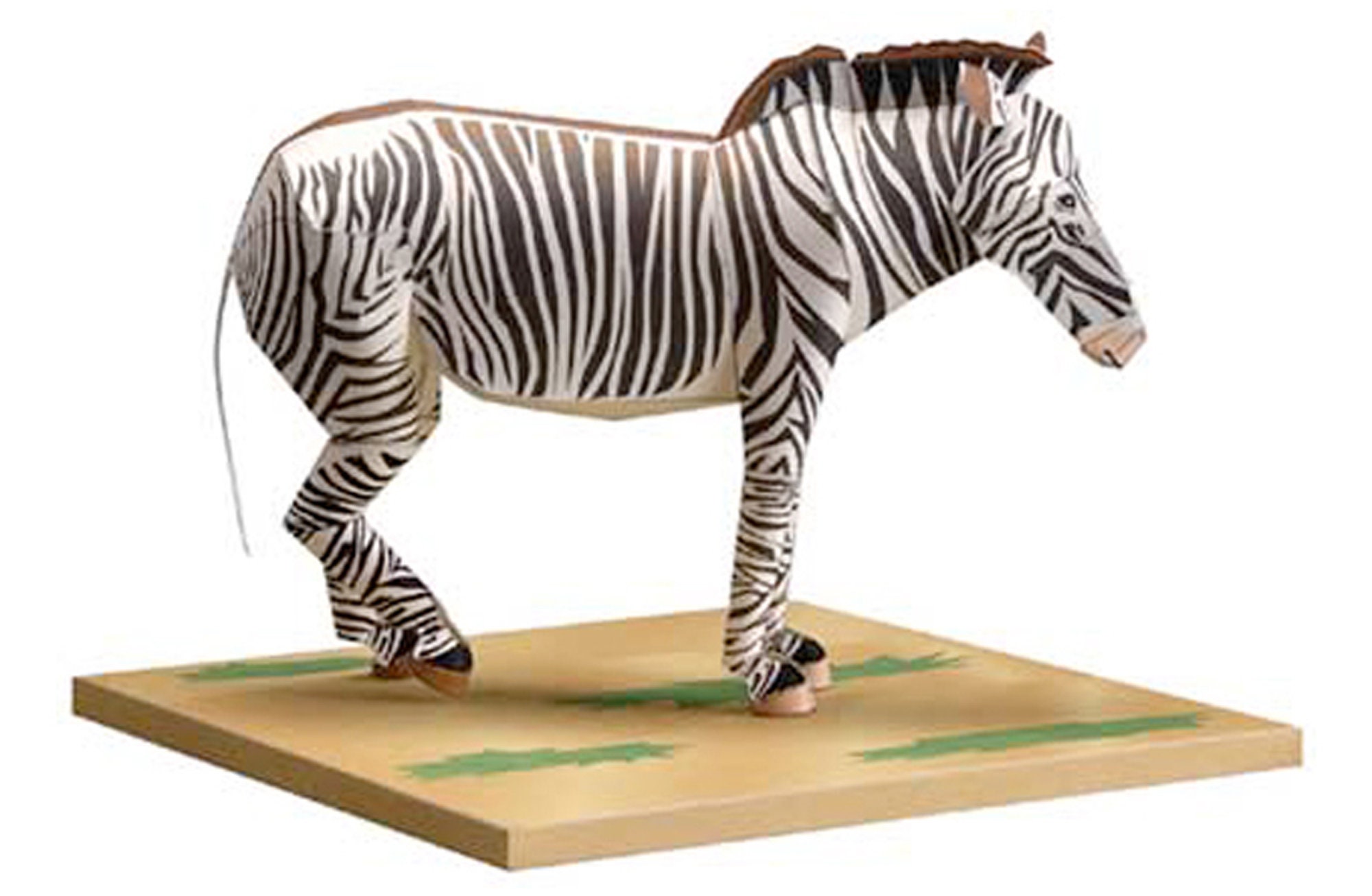 Grevy's Zebra, Papercraft, 3D Paper Model, Animal, Zoo, Paper Craft