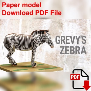 May include: Paper model download for a Grevy's Zebra, a black and white striped animal. The PDF file is available for download.  The zebra is standing on a brown surface with green grass.