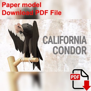 California Condor, PaperCraft, 3D paper model, animal, zoo, paper craft, template PDF, Diy paper model, gift, origami, paper, model, craft