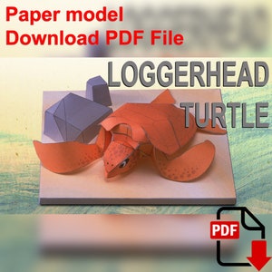 Puede incluir: Modelo de papel de una tortuga boba con una roca. Descarga el archivo PDF.