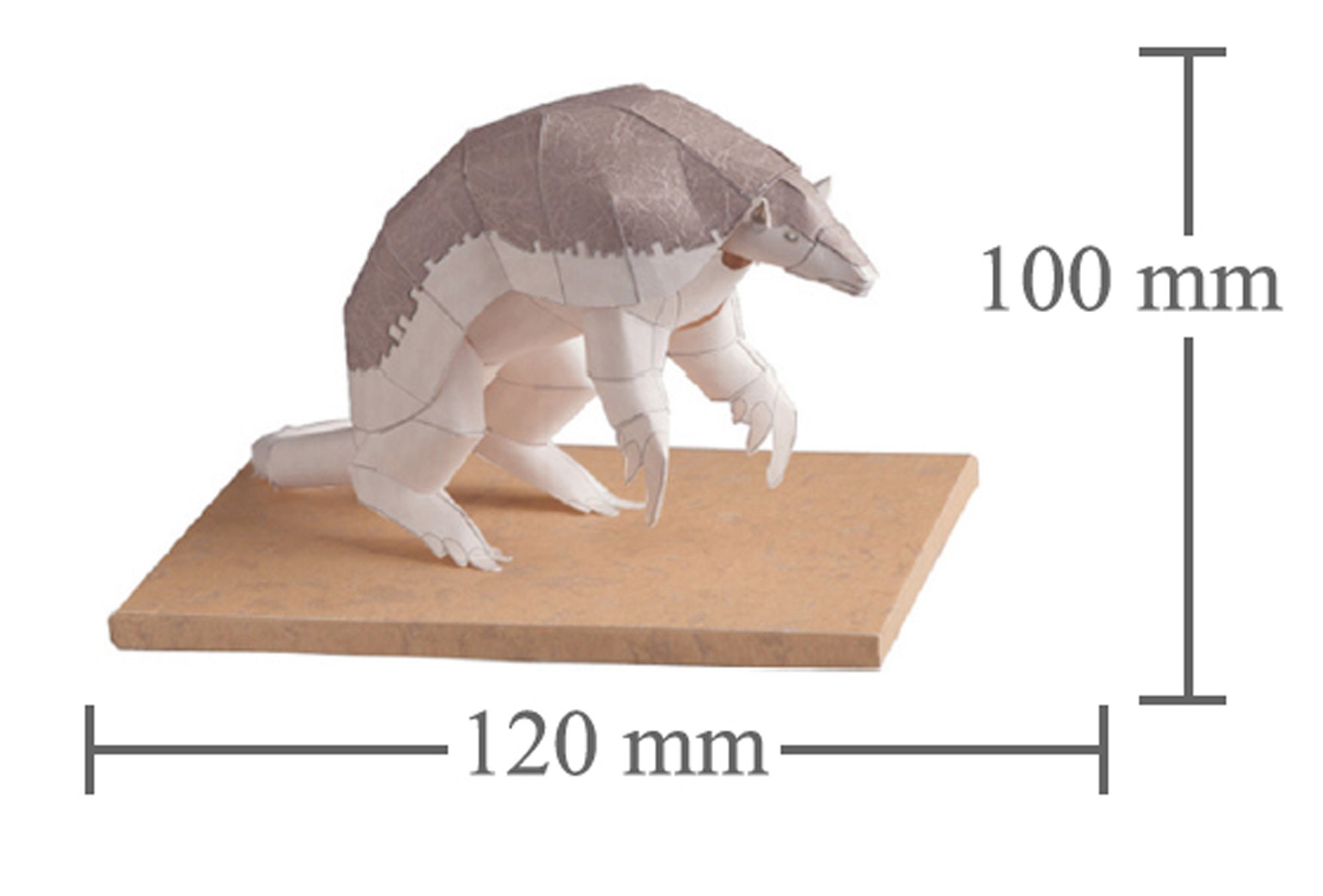 Armadillo, Papercraft, 3D Paper Model, Animal, Zoo, Paper Craft