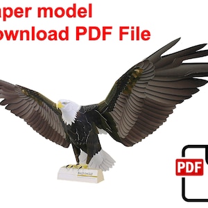 Aquila calva, PaperCraft, modello di carta 3D, animale, zoo, creazione con la carta, modello PDF, modello di carta fai da te, regalo, origami, carta, modello, creazione