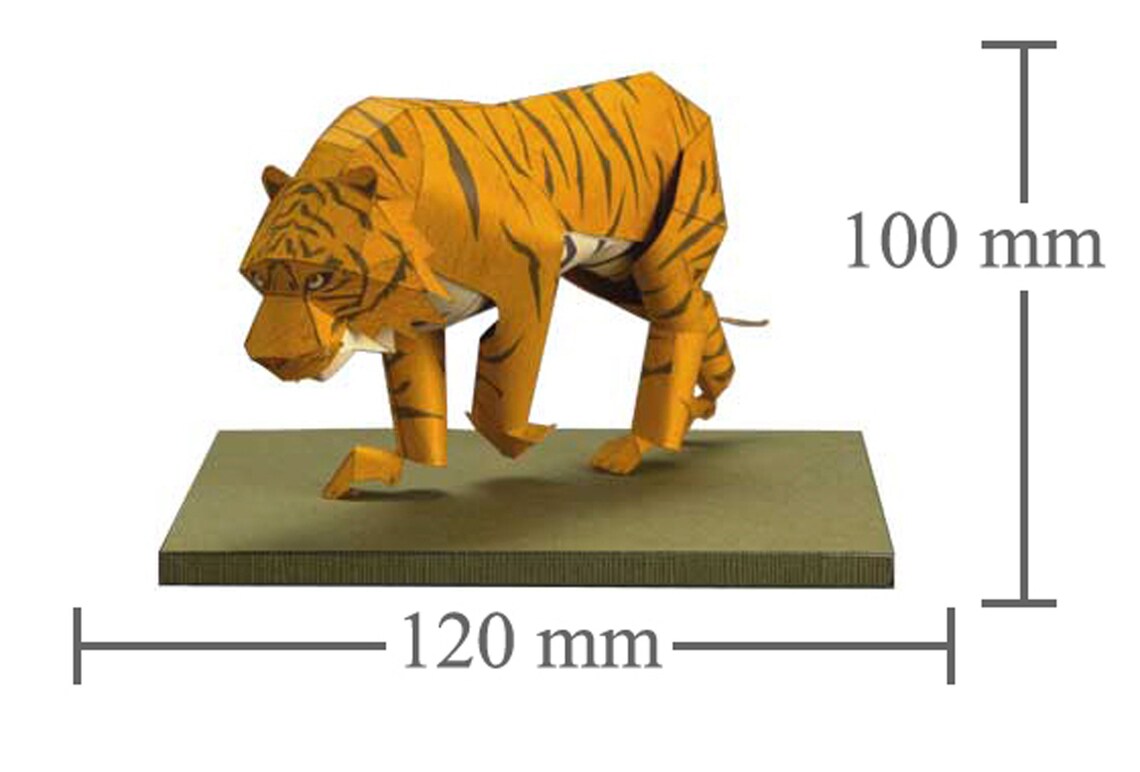 Tiger, Papercraft, 3D Paper Model, Animal, Zoo, Paper Craft, Template
