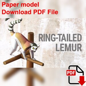 Ring-tailed Lemur, PaperCraft, 3D paper model, animal, zoo, paper craft, template PDF, Diy paper model, gift, origami, paper, model, craft