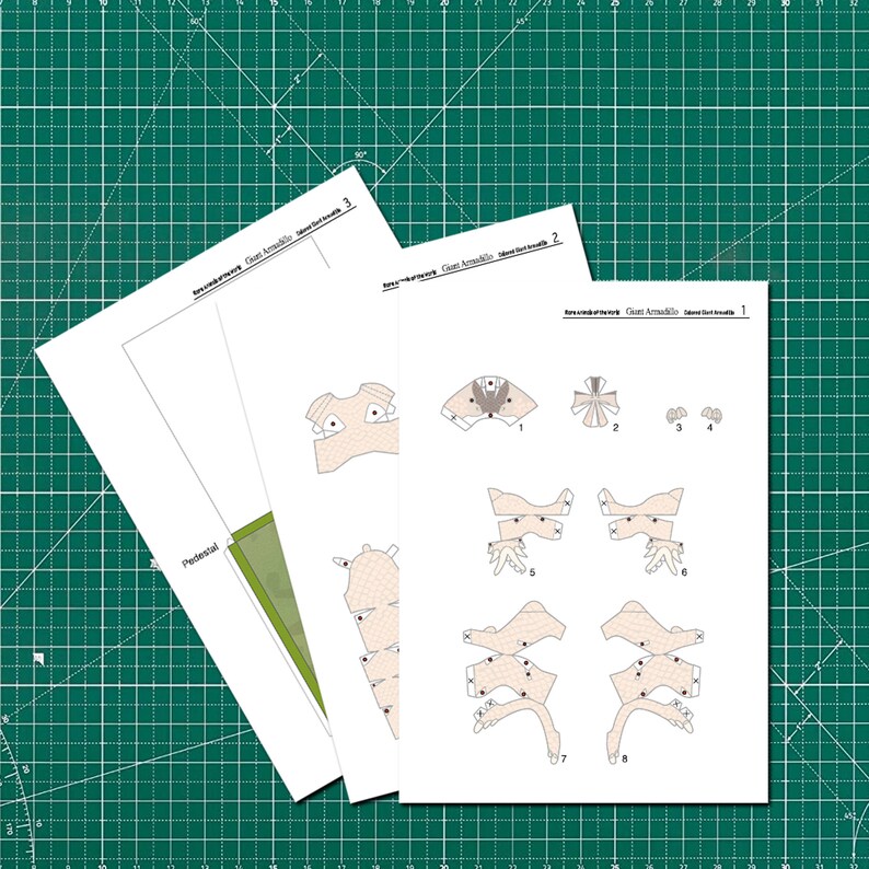 Armadillo, Papercraft, 3D Paper Model, Animal, Zoo, Paper Craft