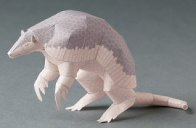 Armadillo, Papercraft, 3D Paper Model, Animal, Zoo, Paper Craft