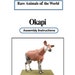 Okapi, Papercraft, 3D Paper Model, Animal, Zoo, Paper Craft, Template ...