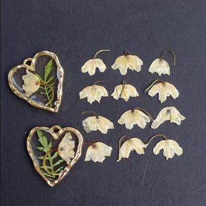Pressed Dried Lily of the Valley flowers, Just Flowers-No Stem, Set of 12 or Pendant