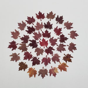 May include: A collection of dried maple leaves in various shades of red, brown, and orange arranged in a circular pattern on a white background.