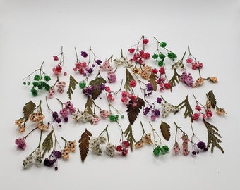 Small Dry Flower Set