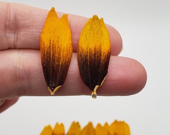 40 yellow-black pressed unique petals for crafts, for resin art, for card and invitation making, for jewelry, rare find unique flat petals