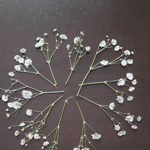 Best Flowers for Wedding Invitations, Pressed Baby's Breath, Wax Seal, Gypsophila