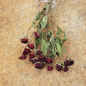 Air Dried Mini Red Rose Bouquet